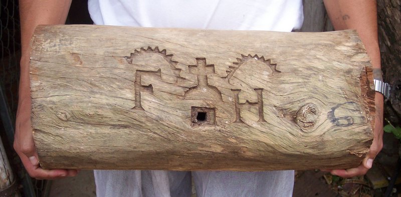 Stingless bee hive